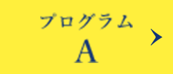 プログラムA