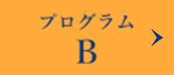 プログラムB